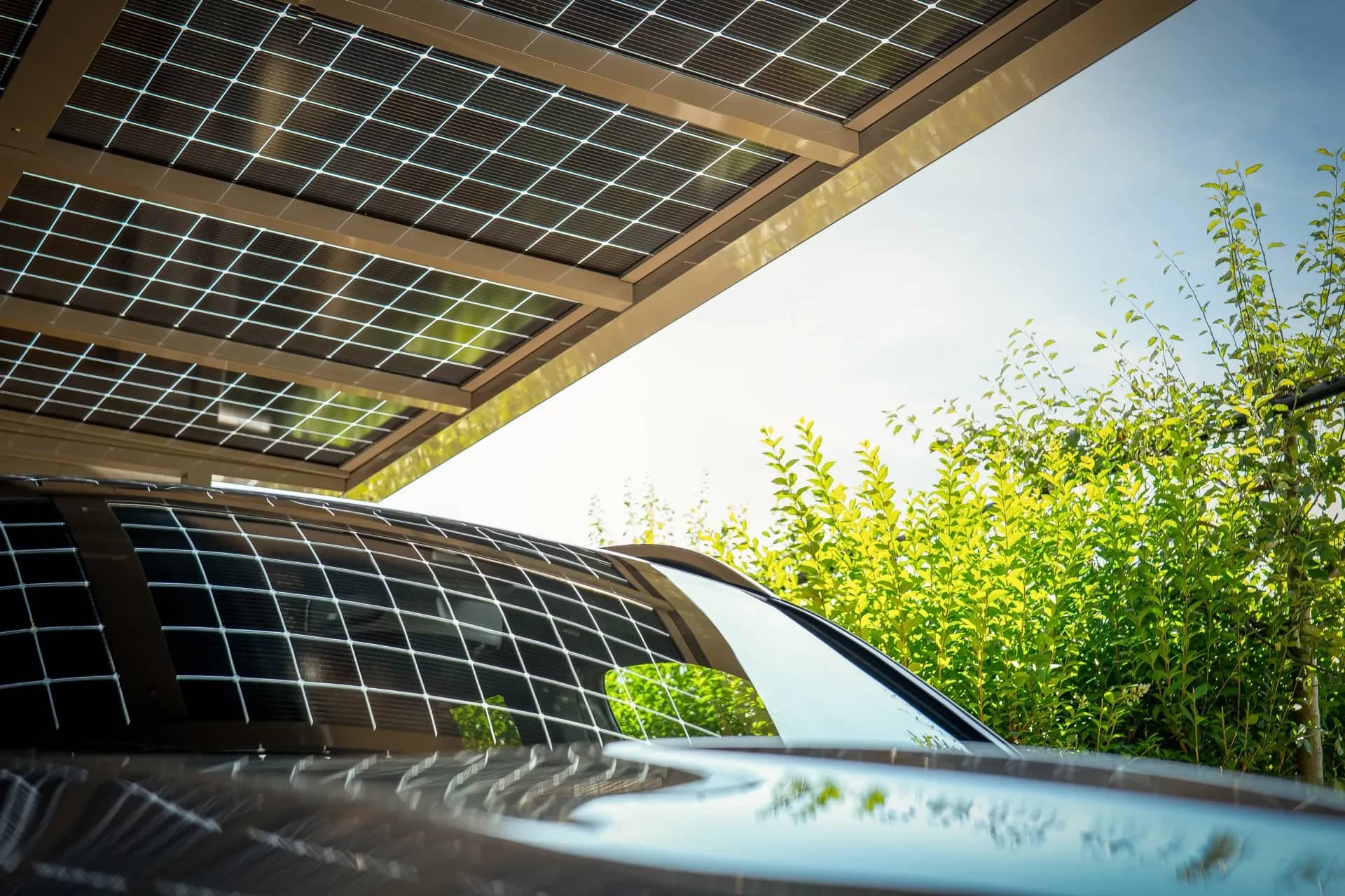 Untersicht eines Solardachs mit semitransparenten Photovoltaik-Modulen als Eindeckung